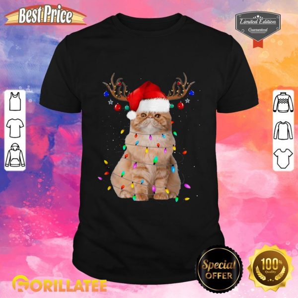 Cat Christmas Reindeer Santa Hat Shirt