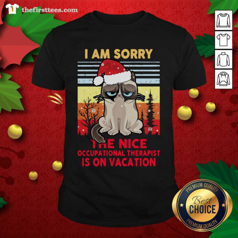 Cat Santa I Am Sorry The Nice Occupational Therapist Is On Vacation Ugly Christmas Shirt