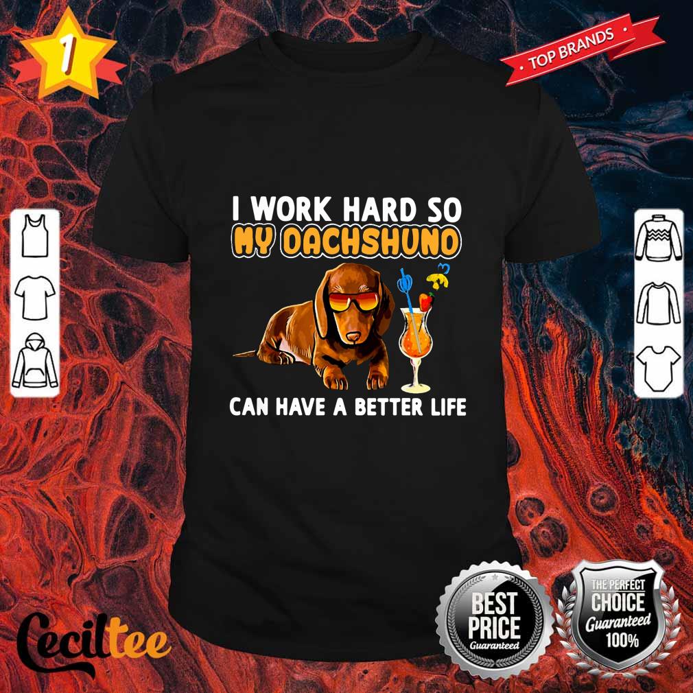 WORK HARD SO MY DACHSHUND CAN HAVE A BETTER LIFE Shirt