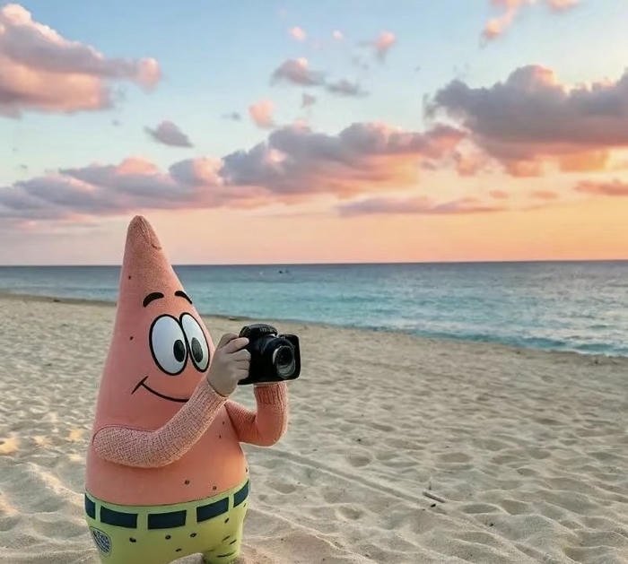 Ảnh avatar cute động vật