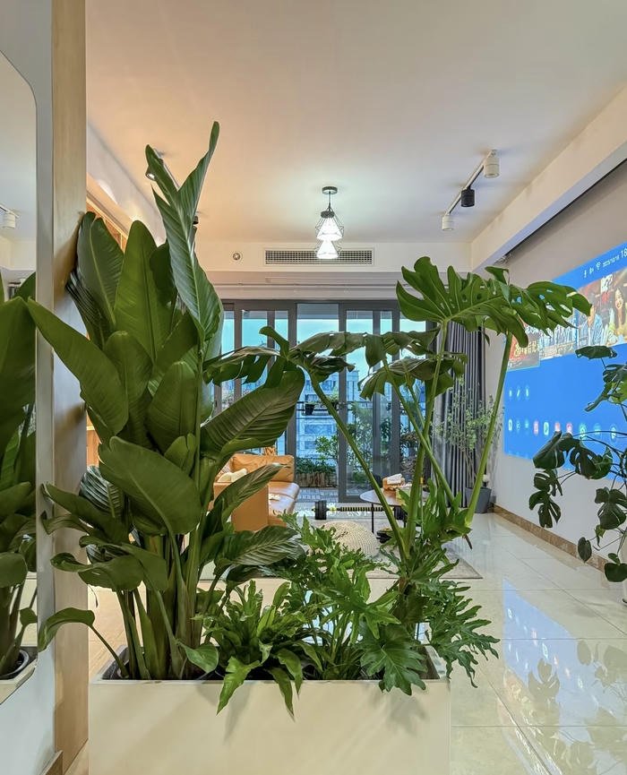 Ảnh phong thủy biểu tượng giàu sang