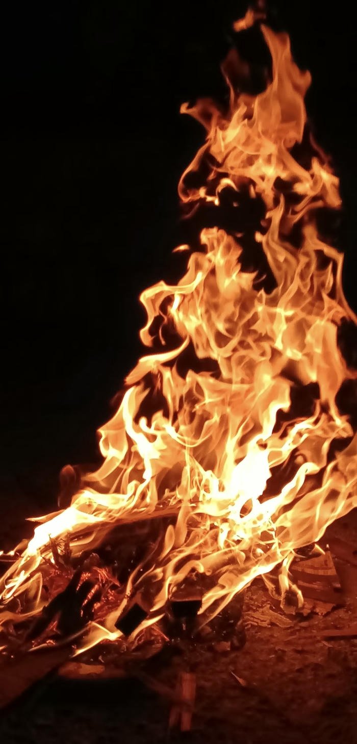 Ảnh phong thủy thịnh vượng