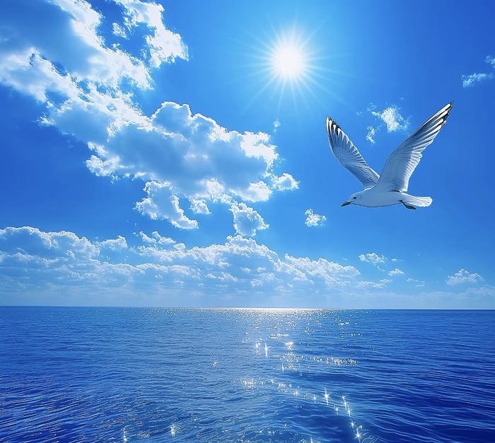 Avatar đẹp phù hợp profile Avatar đẹp phù hợp profile