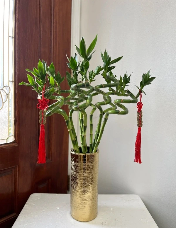 Hình bình phong thủy biểu tượng may mắn