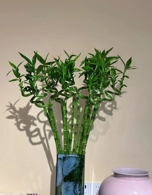 Hình bình phong thủy họa tiết nghệ thuật