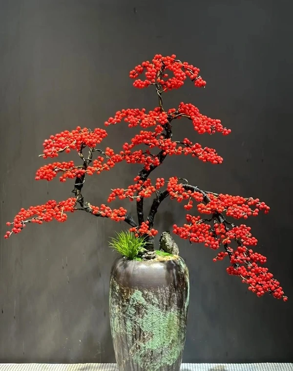 Hình cây cảnh phong thủy ánh sáng tự nhiên