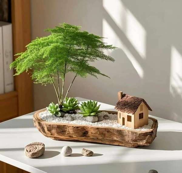 Hình cây cảnh phong thủy không gian thư giãn