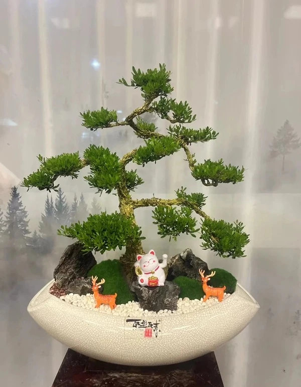 Hình cây cảnh phong thủy tươi tốt xanh mướt