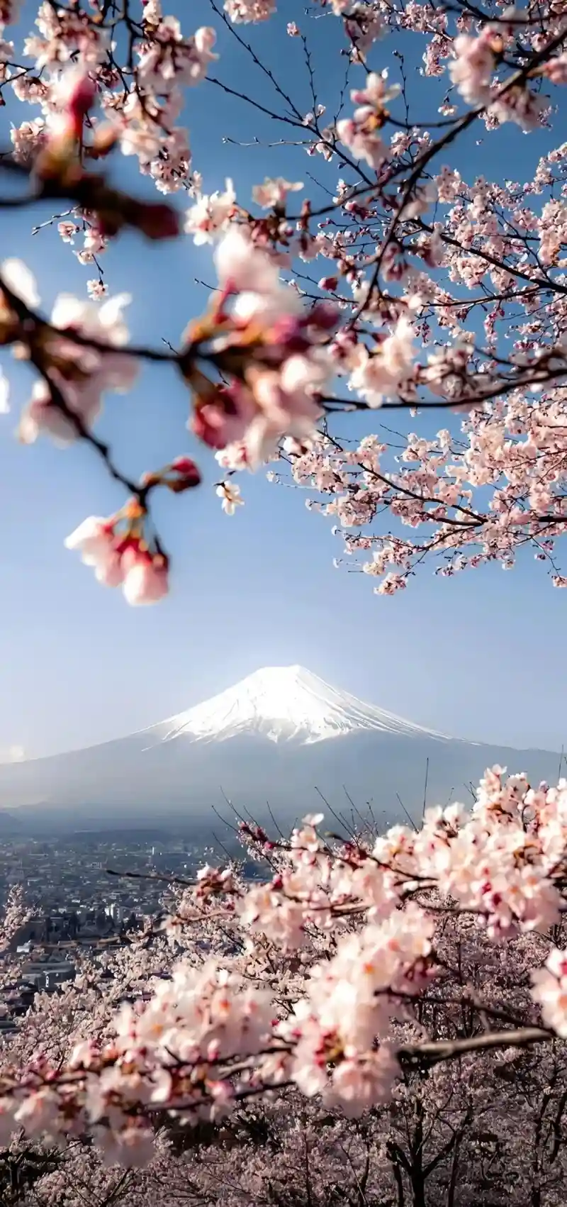 Hình nền 3D sống động đẹp mắt