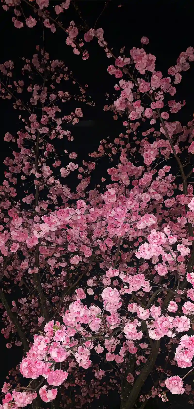 Hình nền 3D sống động hiệu ứng nổi bật