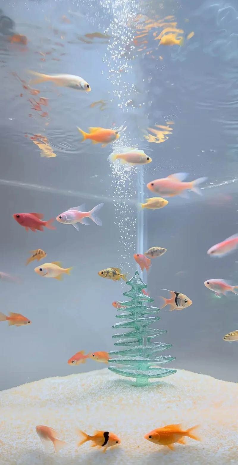 Hình nền 3D sống động không gian mở rộng