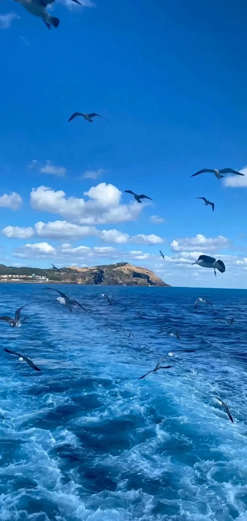 Hình nền biển xanh cảnh biển tinh tế