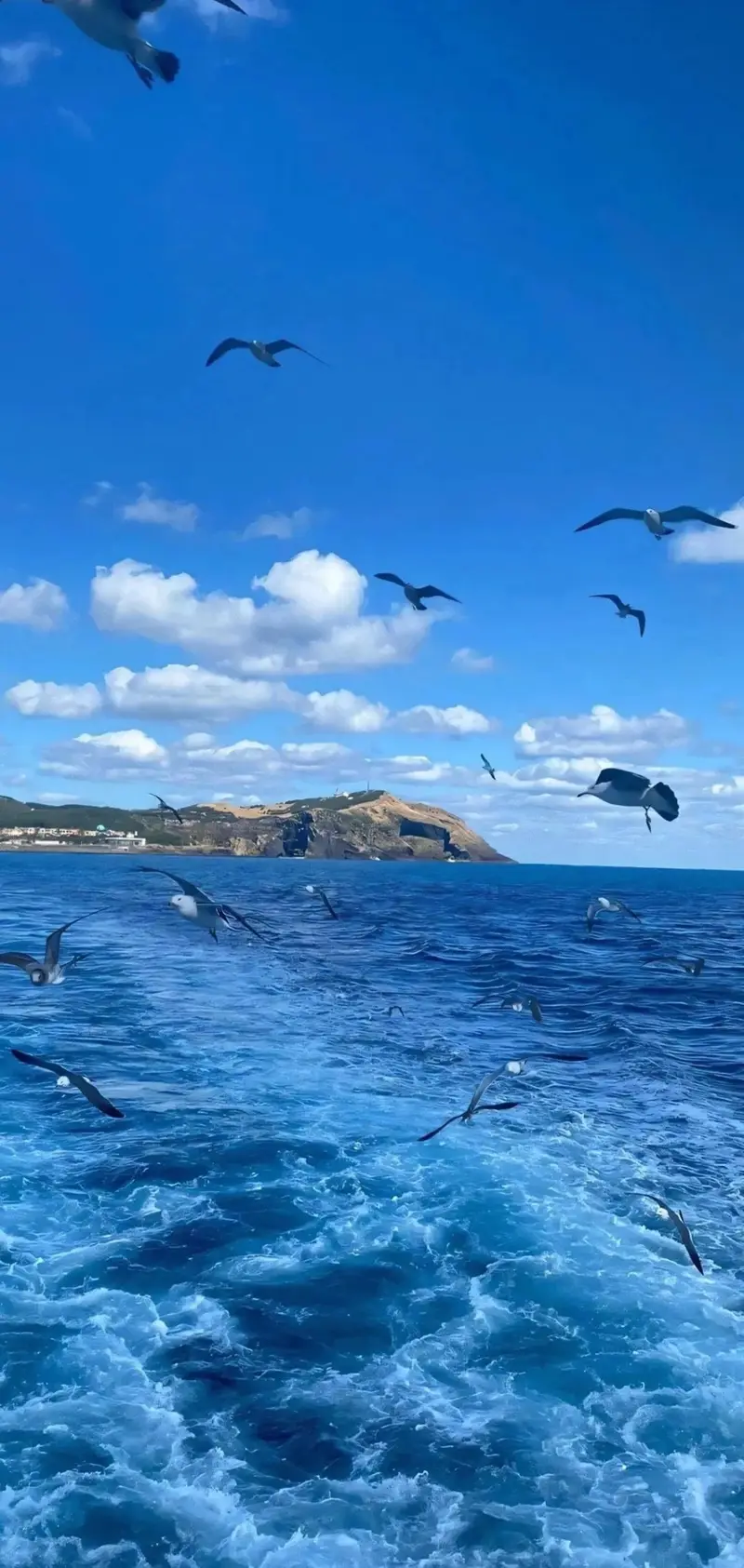 Hình nền biển xanh sóng nhẹ nhàng