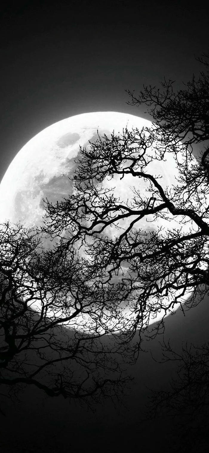 Hình nền đen trắng ánh trăng