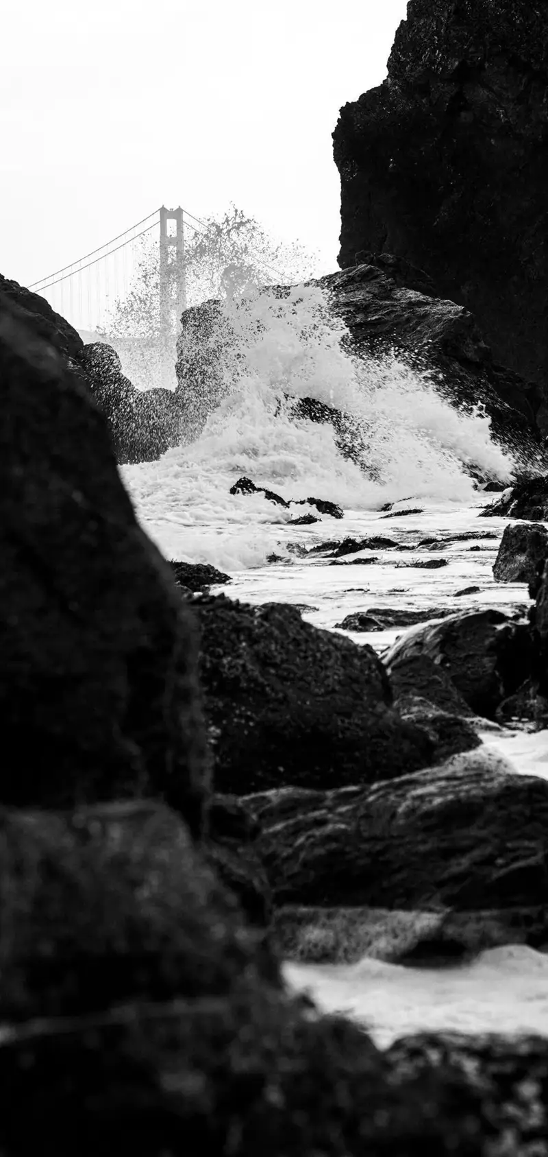 Hình nền đen trắng đẹp phù hợp mọi thiết bị