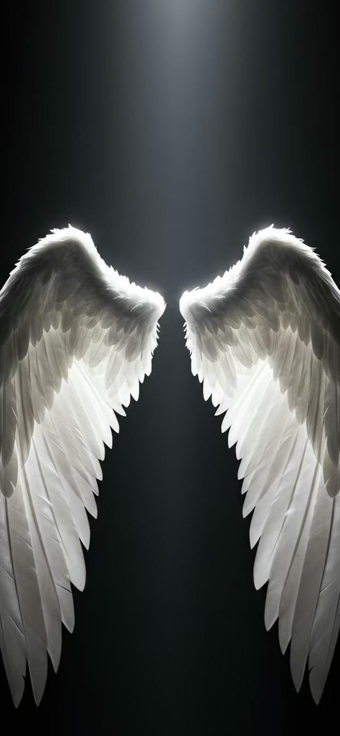 Hình nền đen trắng đôi cánh