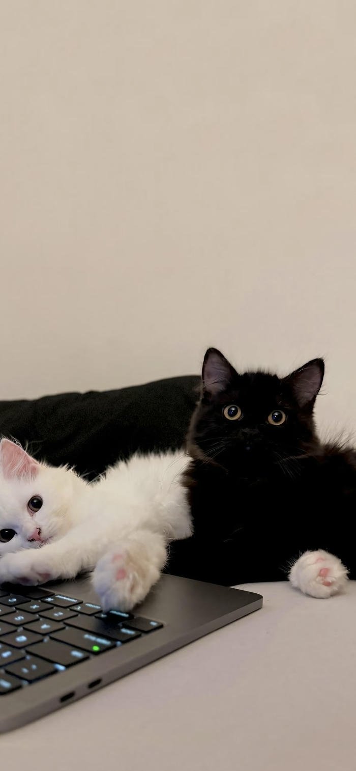 Hình nền đen trắng đối lập