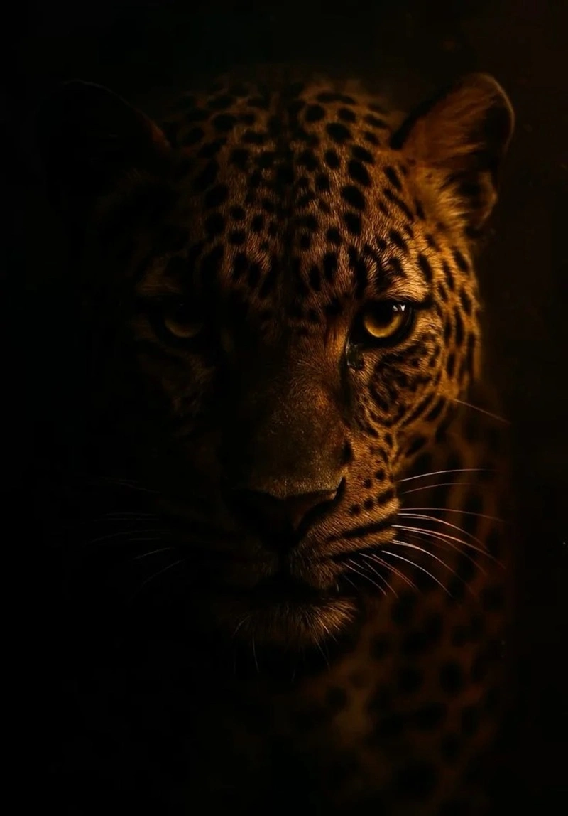 Hình nền động vật hoang dã phong cách tự do