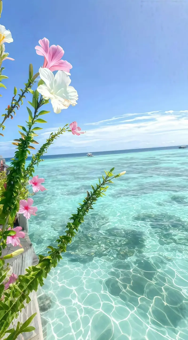 Hình nền hoa tươi sáng đẹp nhẹ nhàng