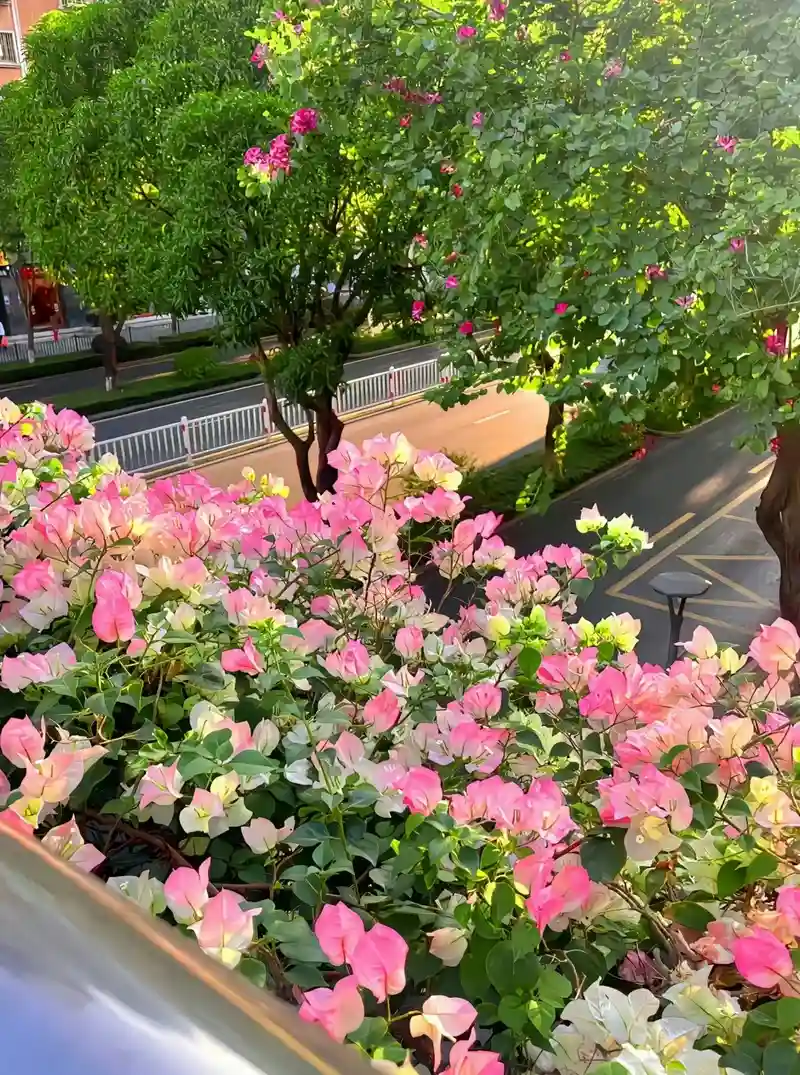 Hình nền hoa tươi sáng đường nét tinh tế