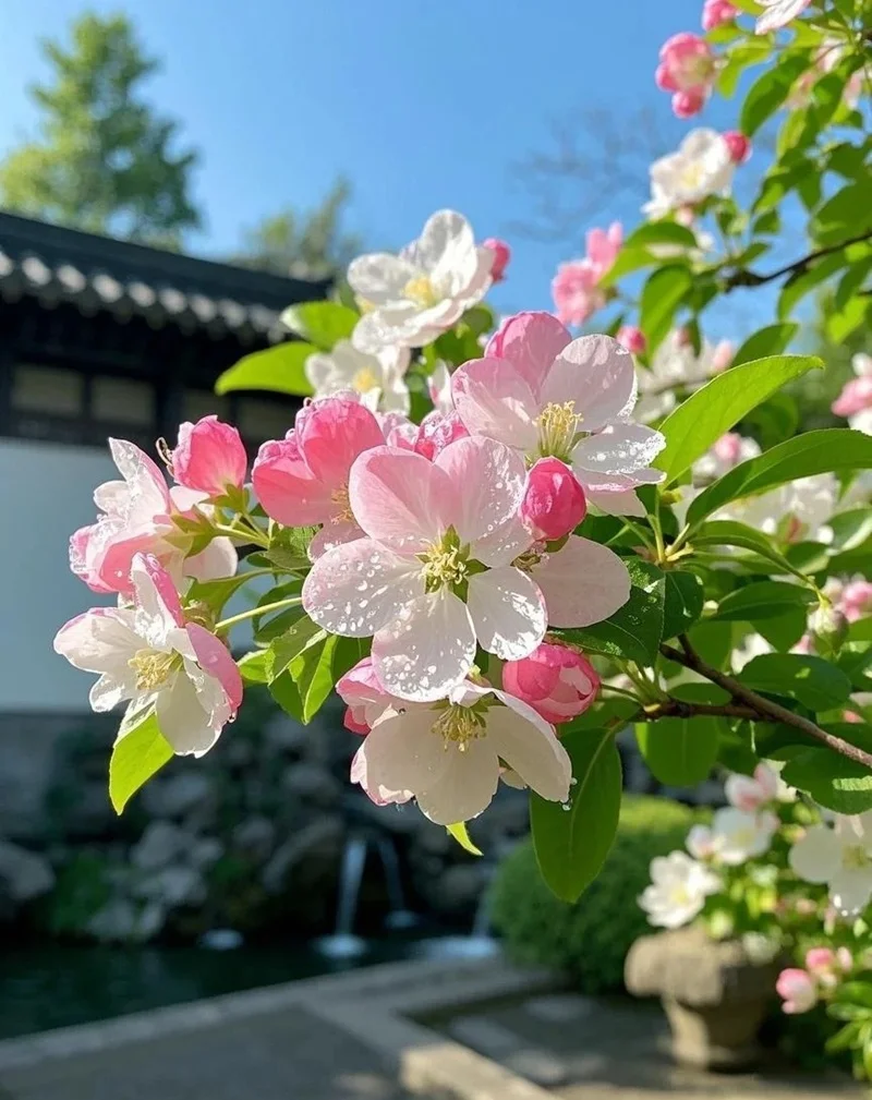 Hình nền hoa tươi sáng mang hơi thở thiên nhiên