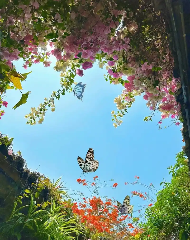 Hình nền hoa tươi sáng mang năng lượng tích cực