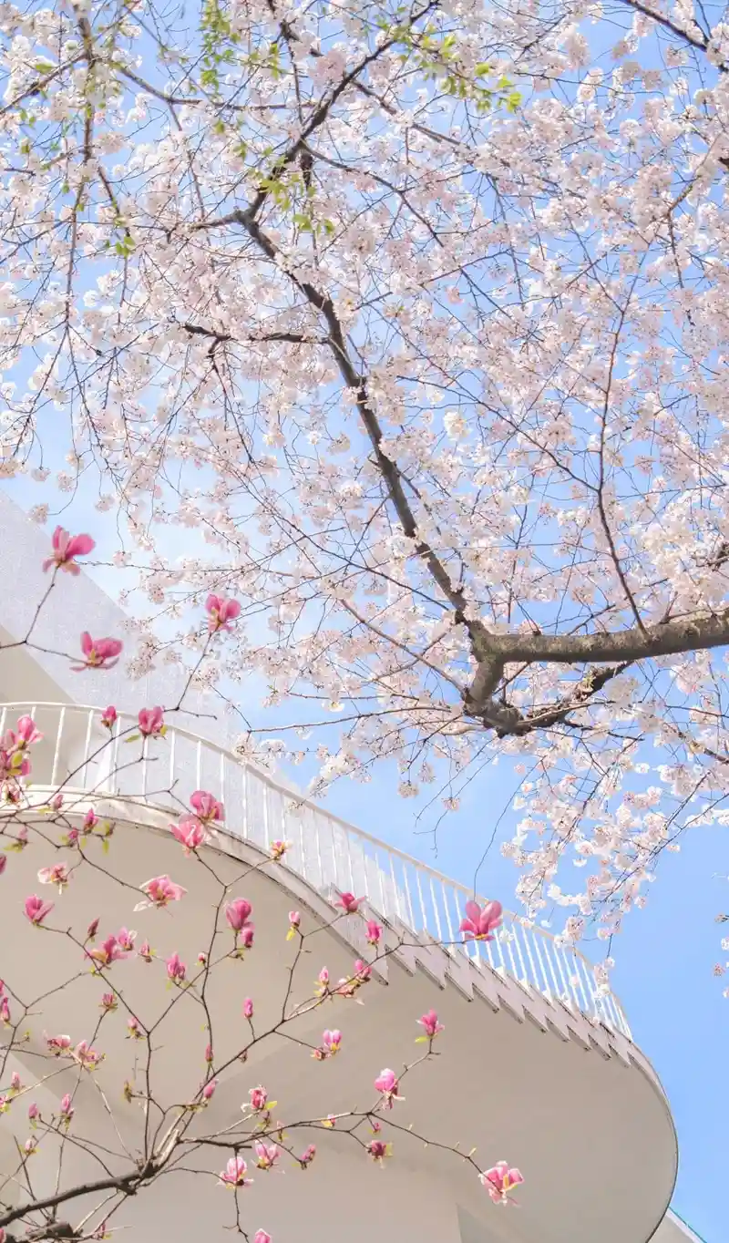 Hình nền hoa tươi sáng phong cách hiện đại