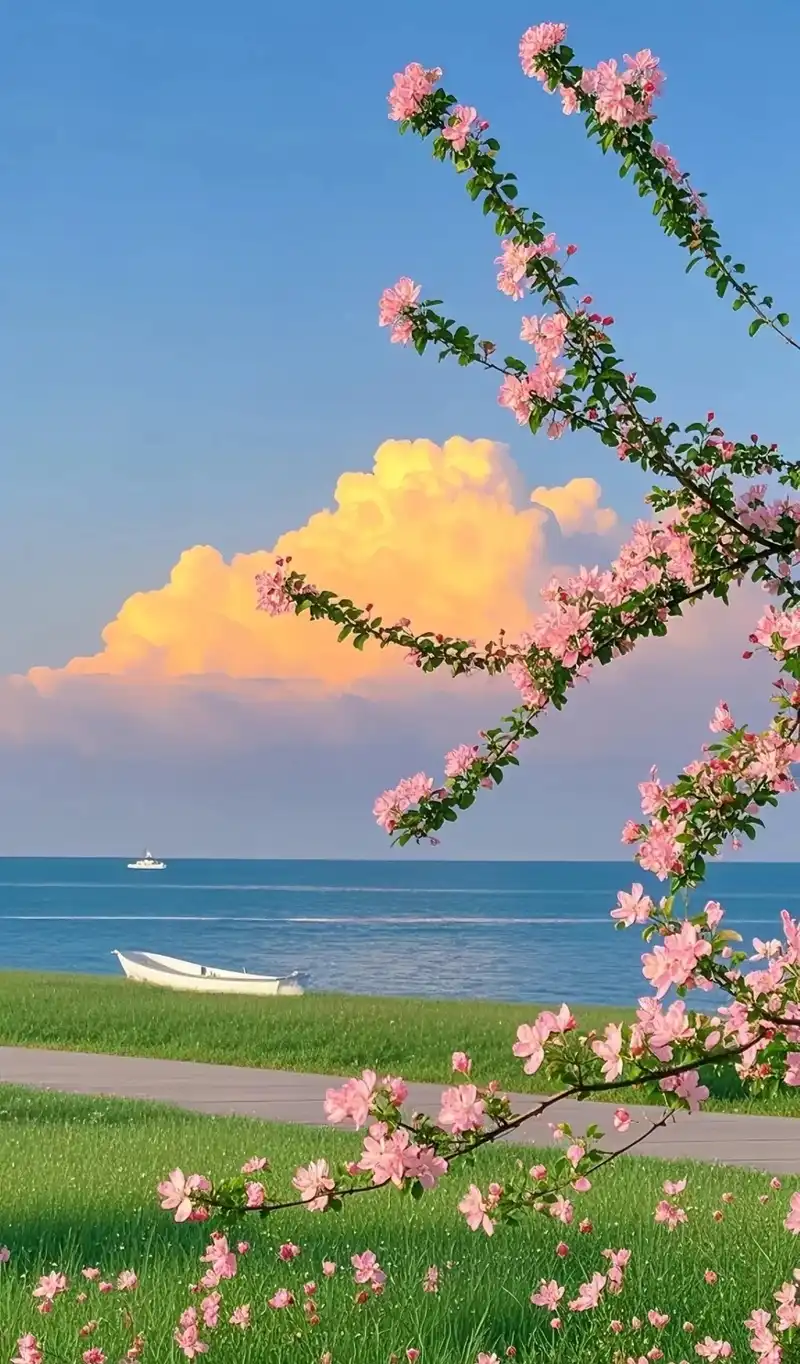 Hình nền hoa tươi sáng sắc hoa tự nhiên