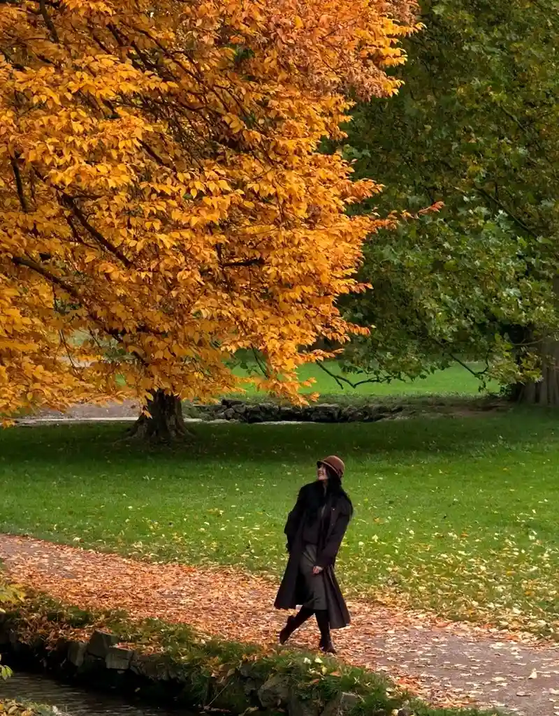 Hình nền mùa thu ánh sáng mùa thu