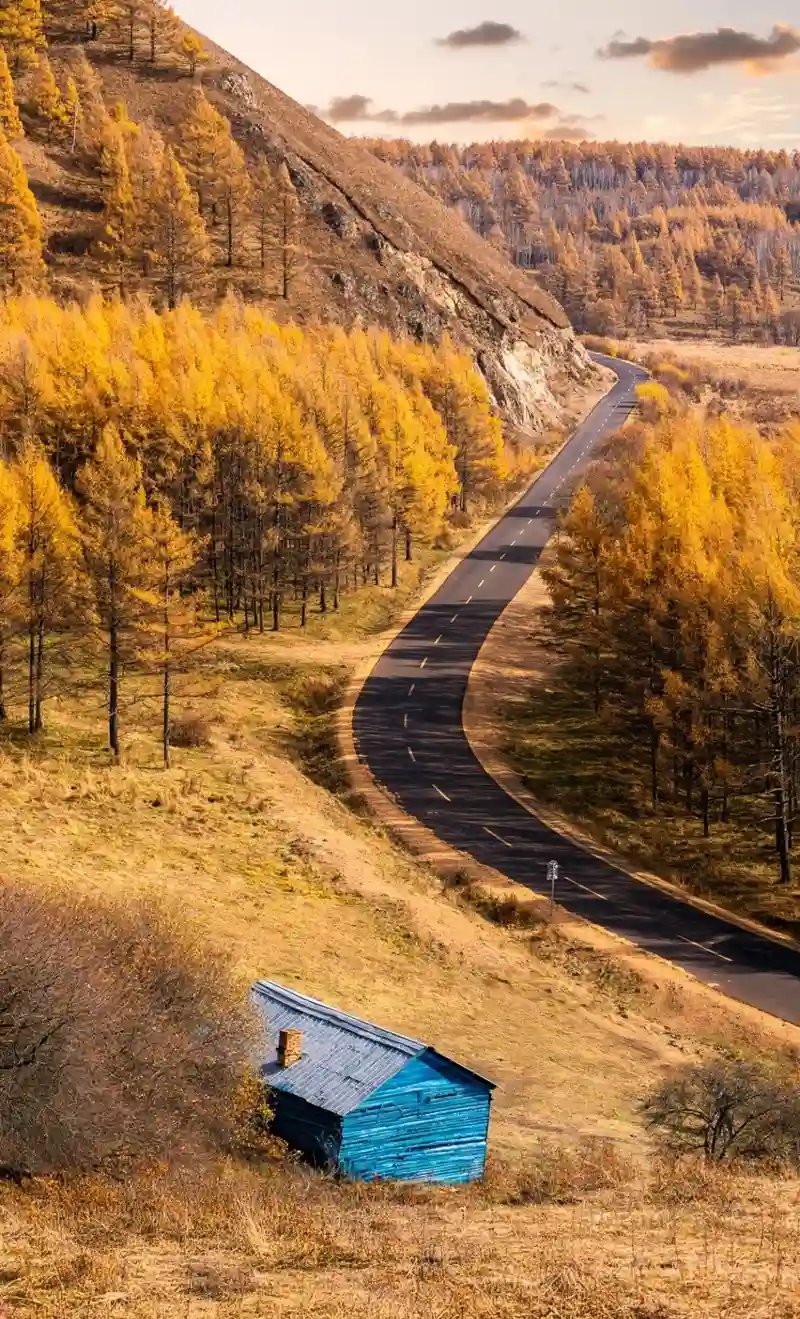 Hình nền mùa thu ánh sáng vàng