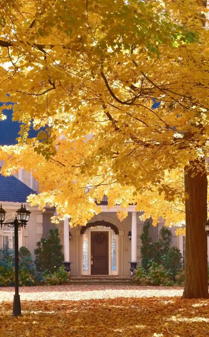 Hình nền mùa thu cảm giác ấm áp