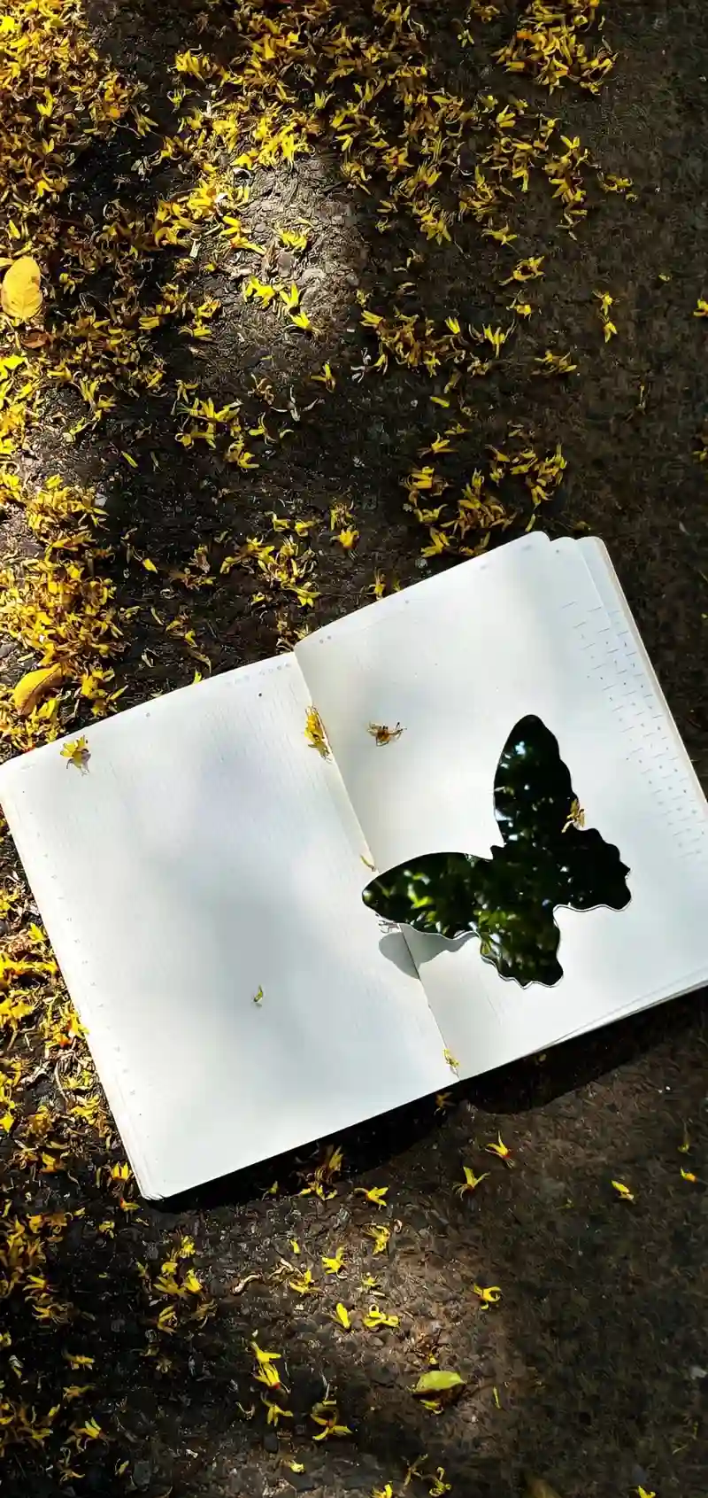 Hình nền mùa thu cảnh lá phong