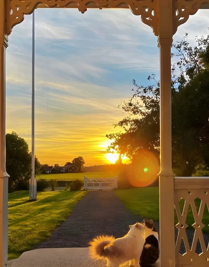 Hình nền mùa thu cảnh trời thu