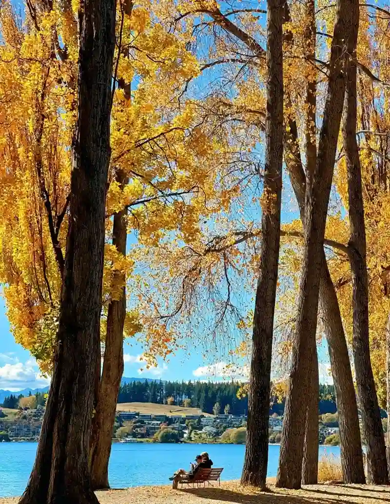 Hình nền mùa thu đẹp nhẹ nhàng