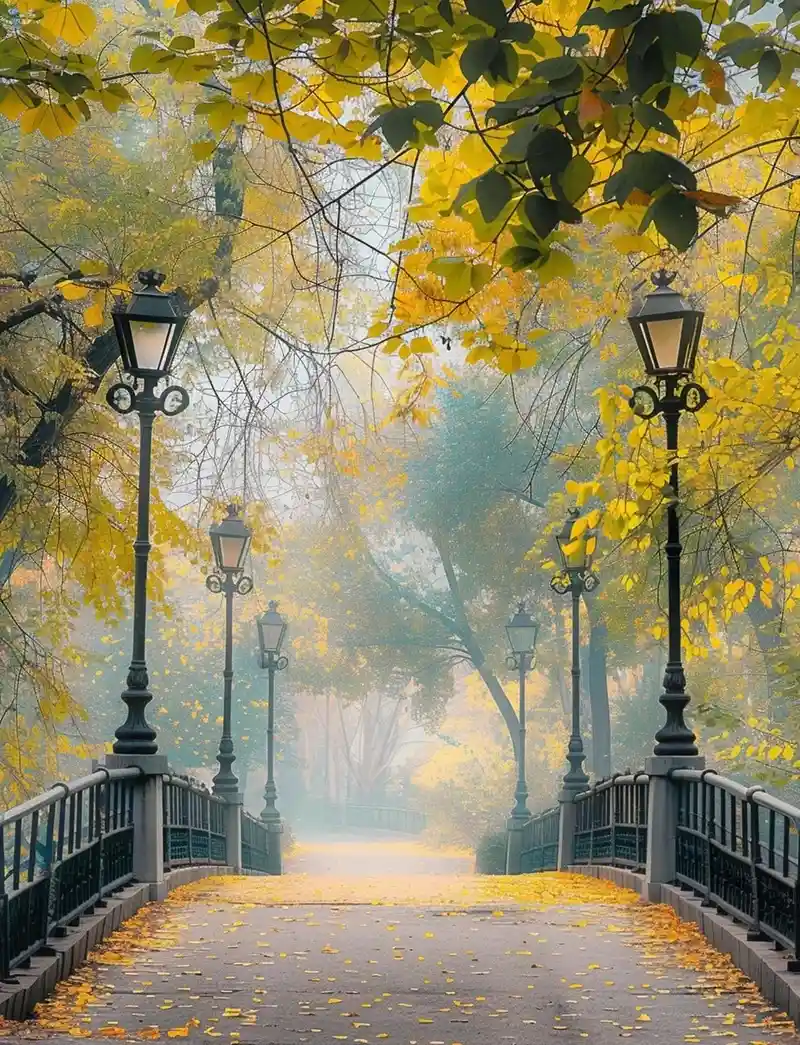 Hình nền mùa thu khung trời vàng