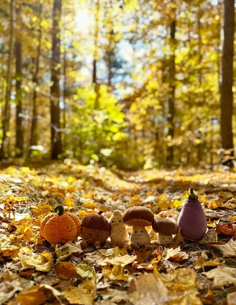 Hình nền mùa thu vẻ đẹp thiên nhiên