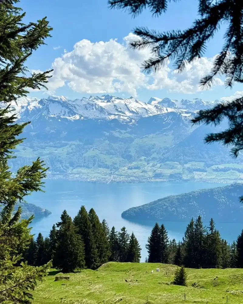 Hình nền phong cảnh núi rừng ánh sáng dịu êm