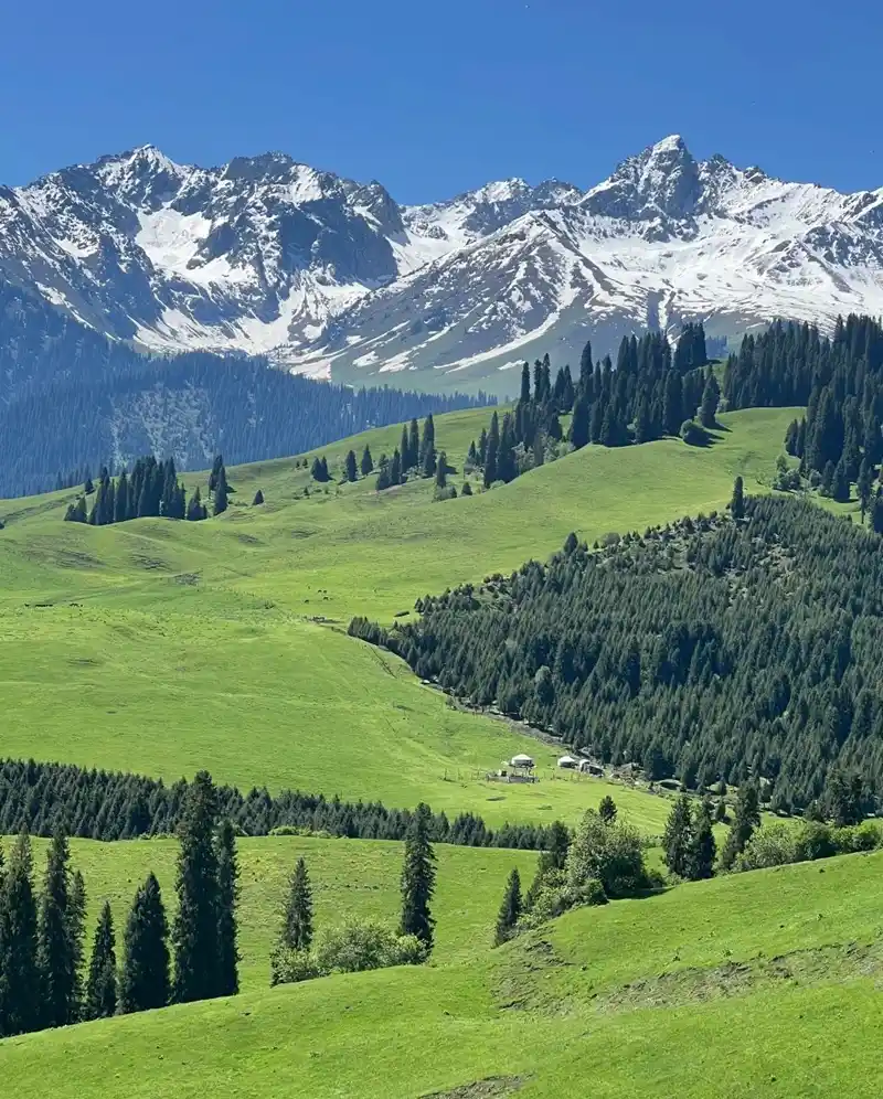 Hình nền phong cảnh núi rừng bầu trời trong xanh