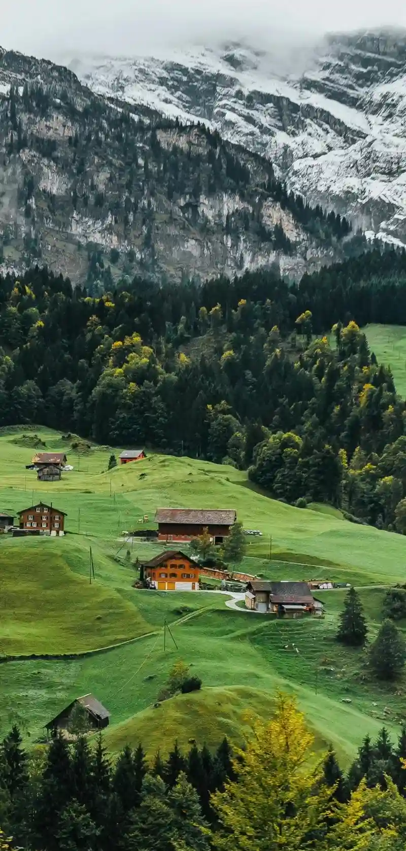 Hình nền phong cảnh núi rừng đường chân trời tuyệt đẹp