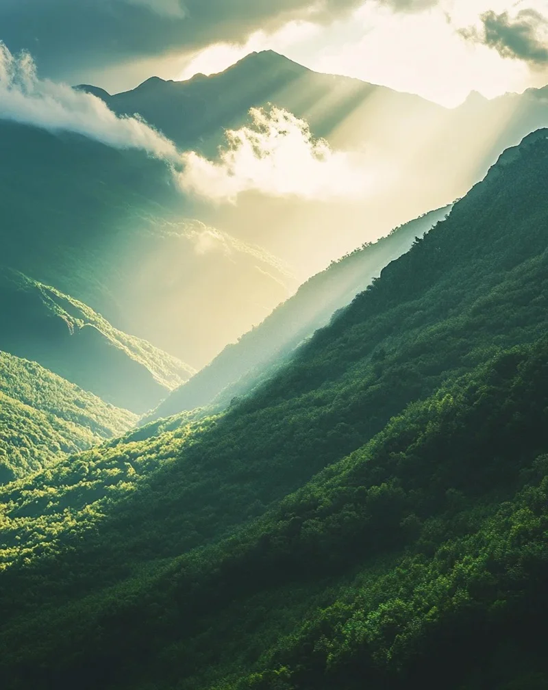 Hình nền phong cảnh núi rừng mang vẻ đẹp thuần khiết