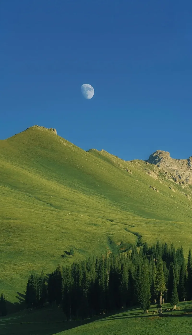 Hình nền phong cảnh núi rừng yên bình thơ mộng