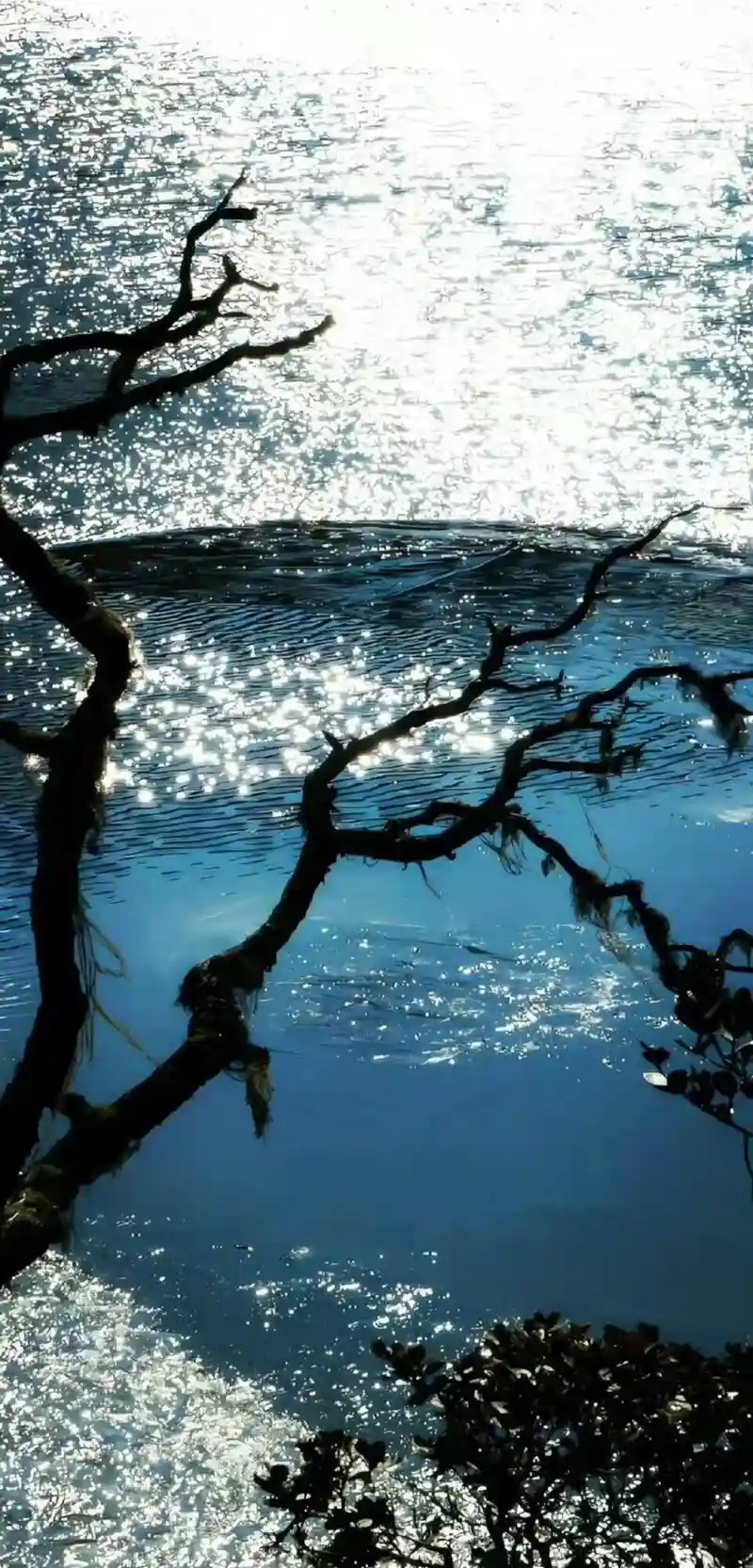 Hình nền thiên nhiên đẹp bầu trời nhiều mây