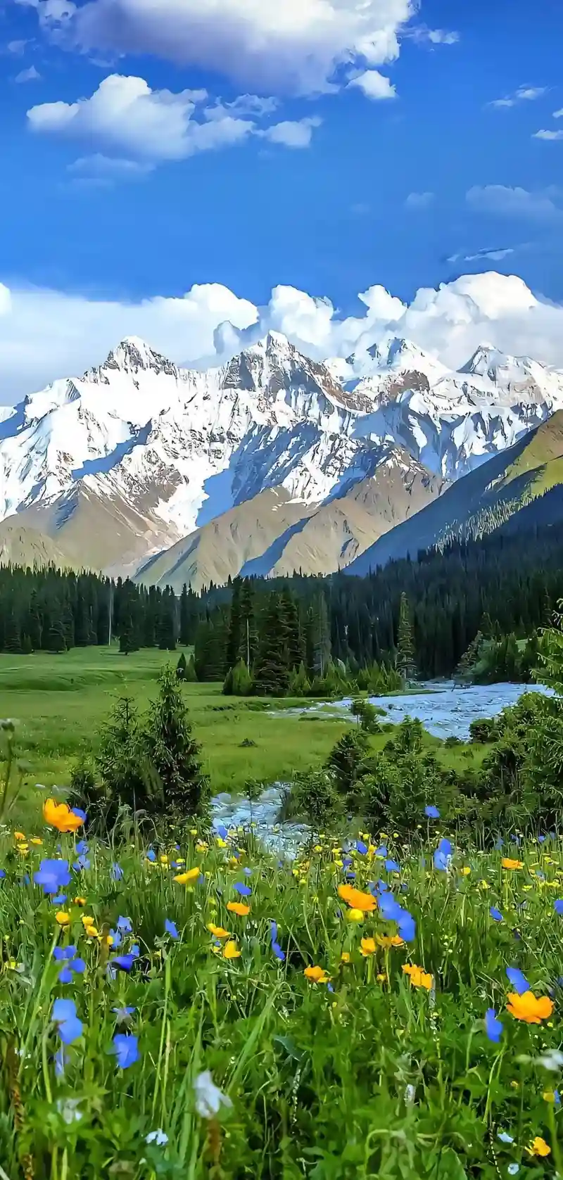 Hình nền thiên nhiên đẹp cảnh rừng thơ mộng