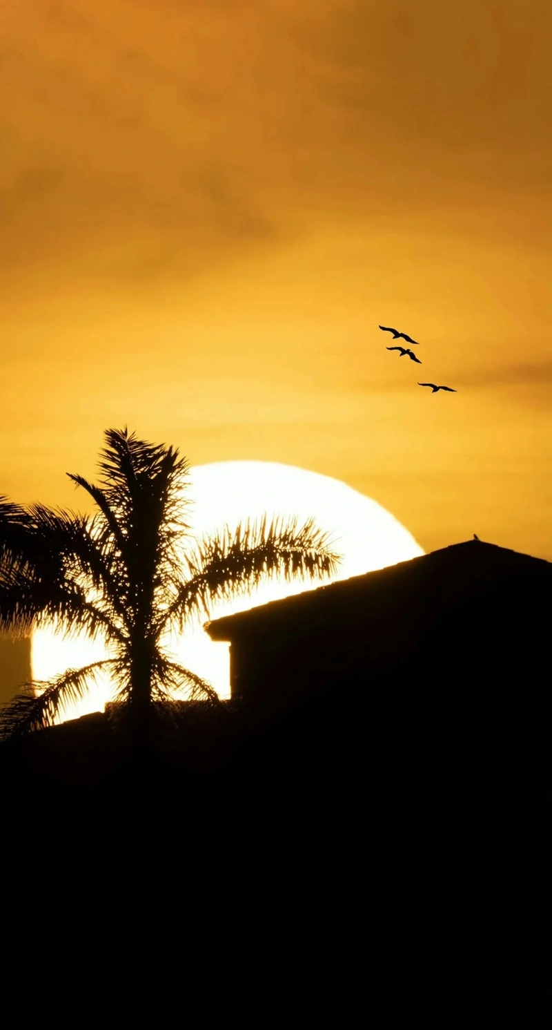 Hình nền thiên nhiên đẹp màu sắc hài hòa