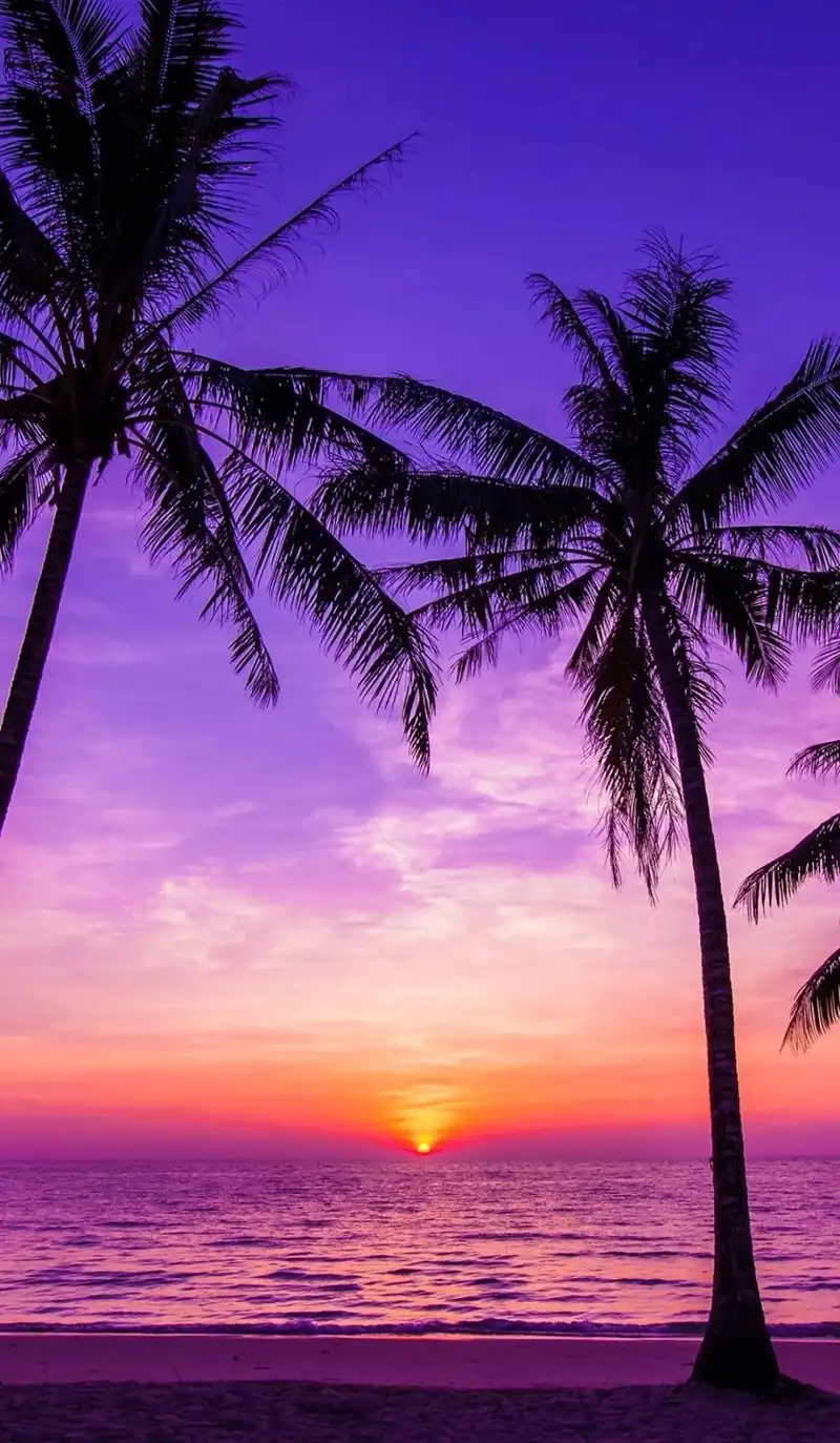 Hình nền thiên nhiên đẹp phong cảnh mùa xuân