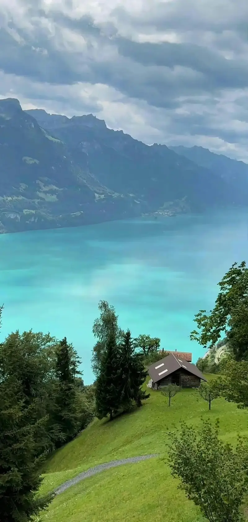 Hình nền thiên nhiên đẹp sắc xanh tươi mát