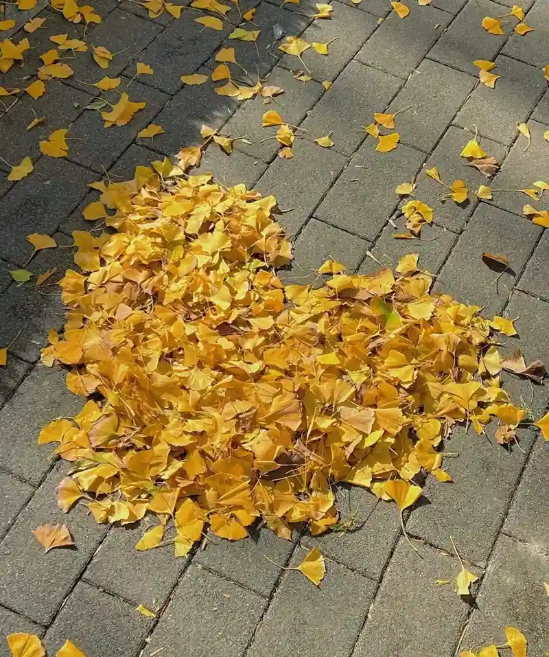 Hình nền tối giản đẹp cảm giác không gian