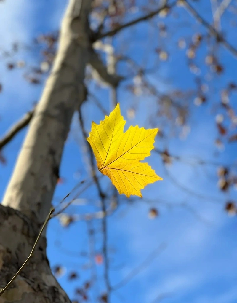 Hình nền tối giản đẹp hiệu ứng mềm mại