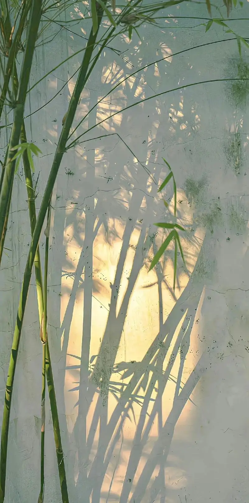 Hình nền tối giản đẹp phong cách thanh lịch