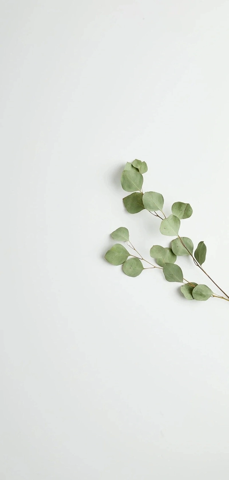 Hình nền tối giản đẹp phong thái nghệ sĩ